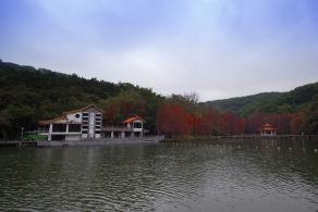 仙湖植物园