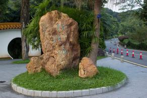 仙湖植物园