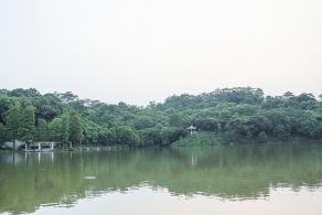 仙湖植物园