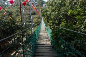 东莞凤岗龙凤山庄