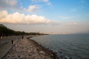 深圳湾公园