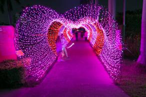 观澜湖体育公园灯光秀