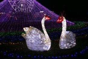 观澜湖体育公园灯光秀