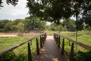 龙岗龙园