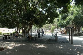龙岗龙园