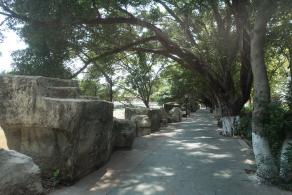 龙岗龙园