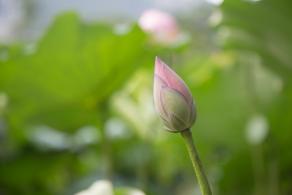 大梅沙奥特莱斯