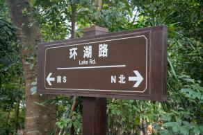 仙湖植物园-环湖路