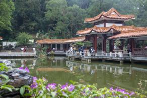 仙湖植物园-盆景园