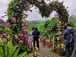 仙湖花展