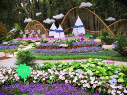 仙湖花展