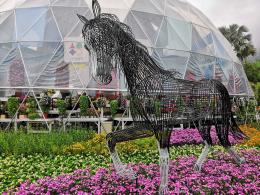仙湖花展