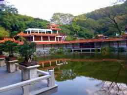 仙湖植物园盆景园