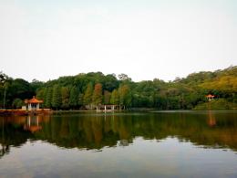 仙湖