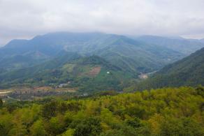 江西大余丫山