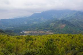 江西大余丫山