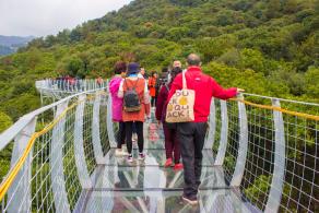 江西大余丫山