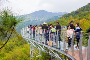 江西大余丫山