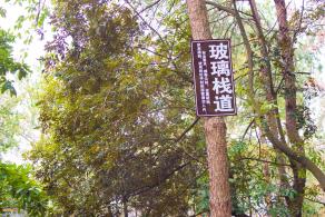 江西大余丫山