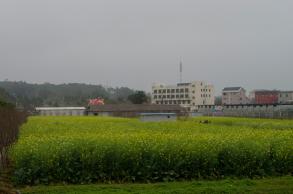 鹏城美丽乡村