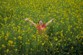 鹏城美丽乡村