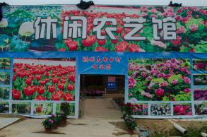 鹏城美丽乡村