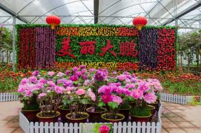 鹏城美丽乡村