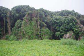 鹏城美丽乡村