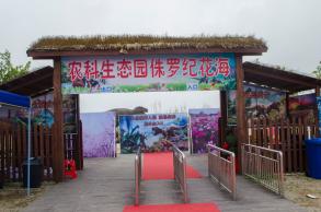 大鹏农科生态园