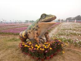 大鹏农科生态园