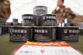 坦克嘉年华