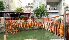 顺德逢简水乡