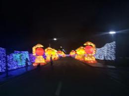 沙井海上田园
