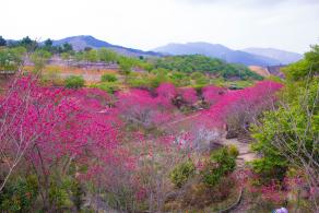 韶关云髻山