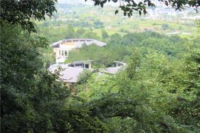 冠豸山风景区