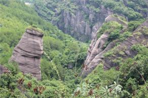 冠豸山风景区