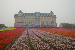 番禺百万葵园
