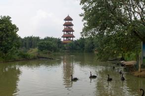东莞香市动物园