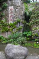 仙湖植物园