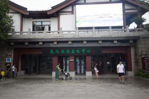 武汉风景