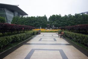 武汉风景