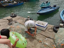 珠海东澳岛