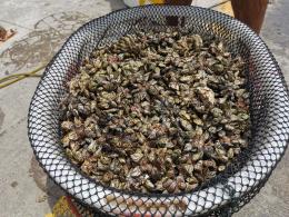 珠海东澳岛