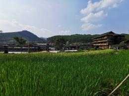 广西沿途风景