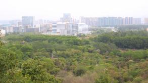 聚龙山