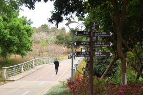 聚龙山