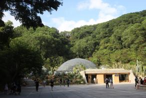 仙湖植物园