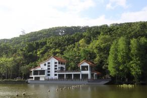 仙湖植物园
