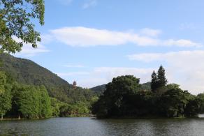 仙湖植物园
