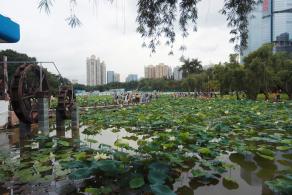洪湖